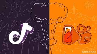 马户抖音爆料视频,揭秘热门事件背后真相